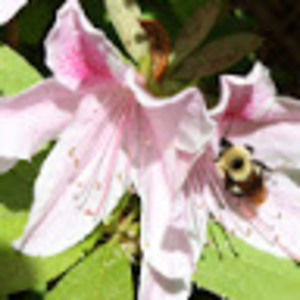 Meet your Posher, Zoe